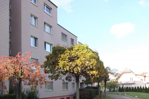 Wunderschöne 4,5 Zimmer-Wohnung in einem ruhigen Gebiet neben der Aare - 5014 Gretzenbach - Bild# 11