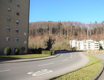 Schöne, helle 4,5 Zimmer-Wohnung in einem sonnigen, ruhigen und familien-freundlichen Gebiet im Luzerner Stadtteil 6014 Littau - Bild# 9
