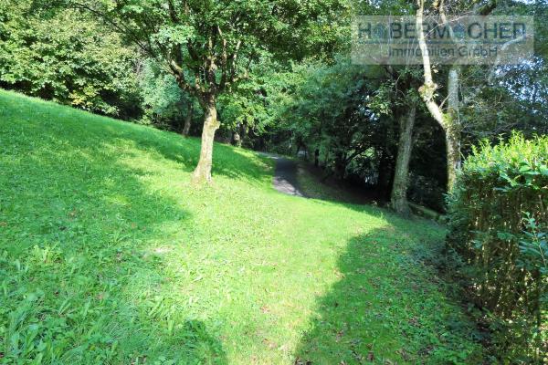 Zentrale, stadtnahe Wohnung direkt neben einem Wald im Grünen - Bild# 11