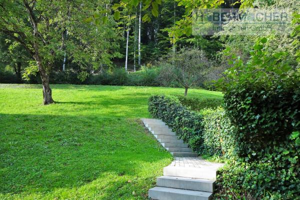 Zentrale, stadtnahe Wohnung direkt neben einem Wald im Grünen - Bild# 12