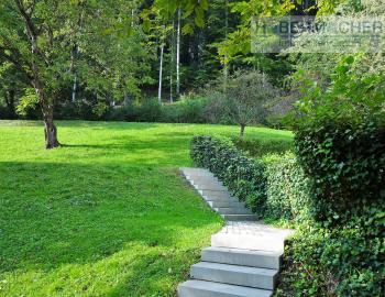 Zentrale, stadtnahe Wohnung direkt neben einem Wald im Grünen - Bild# 12