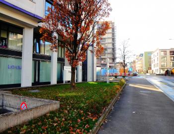 Sehr zentrale und sonnige Wohnung, mit schöner Aussicht, mitten in Kriens - Bild# 9