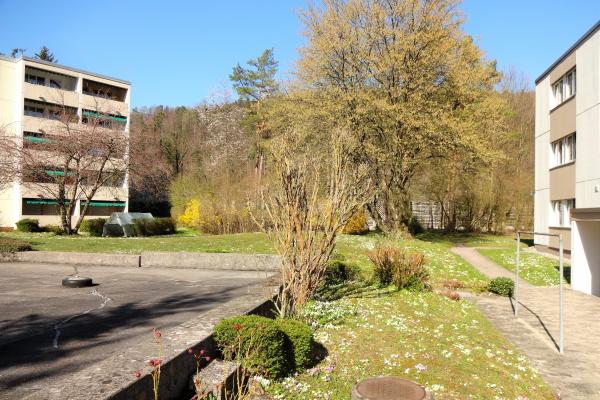 Vorteilhaftes Wohnen: nahe am Stadtkern Zürich und mitten im Grünen - Bild# 9