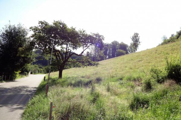Sehr schöne Eigentumswohnung angrenzend an Wald, der Aare und Aarau / SO - Bild# 5