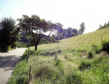 Sehr schöne Eigentumswohnung angrenzend an Wald, der Aare und Aarau / SO - Bild# 5