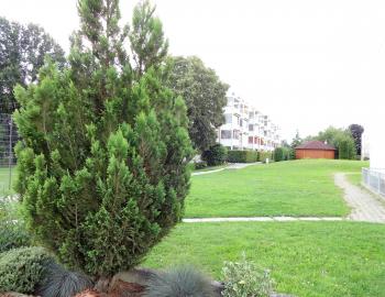 Sehr schöne, helle und zentrale 4,5- Zimmerwohnung mit viel Platz - Bild# 10