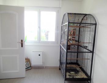 Sehr schöne, helle und zentrale 4,5- Zimmerwohnung mit viel Platz - Bild# 7