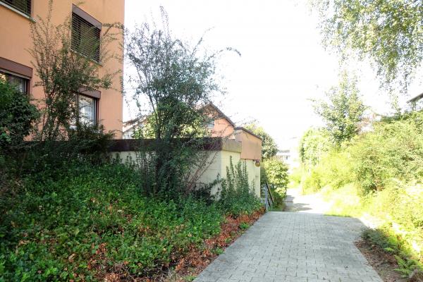 Wunderschöne 2.- Zimmerwohnung an ruhiger, idyllischer Hanglage - Bild# 8