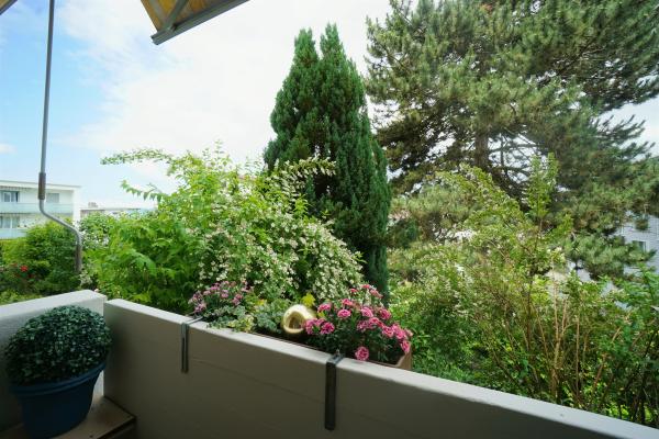 Sehr schöne 3.5 Zimmerwohnung an ruhiger Lage in Beinwil am See - Bild# 8