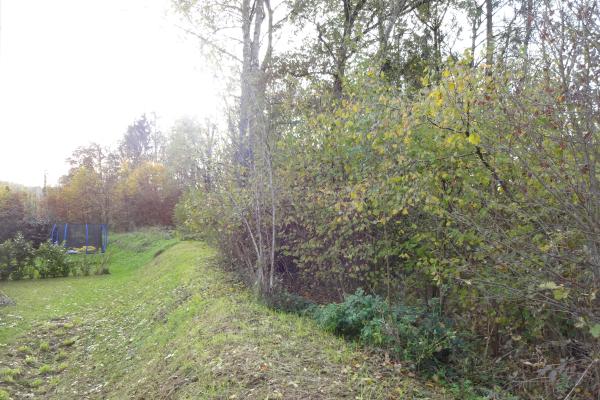 Sehr schöne und zentrale 2.5-Zimmerwohnung mit grossem Gartensitzplatz in 4552 Derendingen / SO - Bild# 8