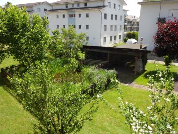 Sehr schöne neu renovierte 4.5-Zimmerwohnung an guter Lage in Altishofen / LU - Bild# 9