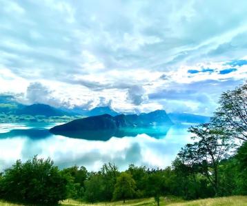 Einzigartige, grosse Baulandparzelle mit Bauprojekt im Herzen der Schweiz mit Blick auf den Vierwaldstättersee - Bild# 5